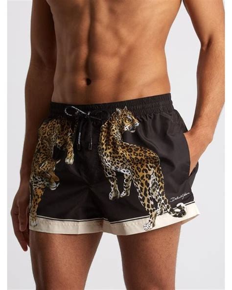 dolce gabbana leopard swimsuit|Dolce & Gabbana swim shorts.